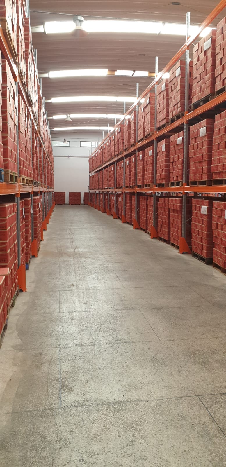 Phase Finale Des Cartons De Sardine